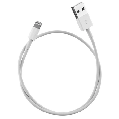 AirPods 2 with Charging Case White