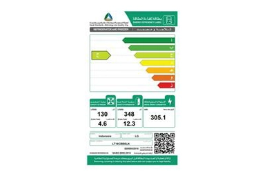 ثلاجة LG بابين 16.9 قدم فضى LT18CBBSLN