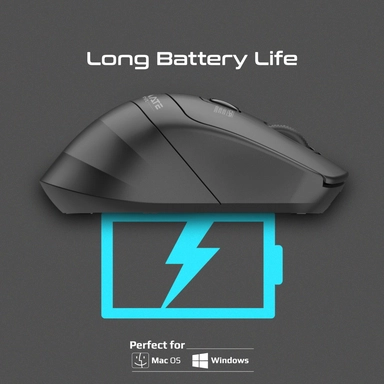 Promate Wireless Mouse Ergonomic Silent Click Optical Black