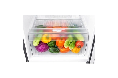 LG 9 Cu.Ft, Top Freezer Refrigerator, Platinum Silver Color, Smart Diagnosis, Inverter Compressor, LT10CBBDIN