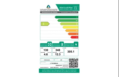 ثلاجة LG بابين 16.9 قدم سلفر LT18CBBSIN