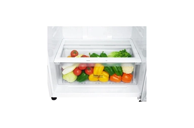 LG Refrigerator, 17.9 Cu.ft, Smart ThinQ Wi-Fi, Linear Compressor LT19HBHWLN