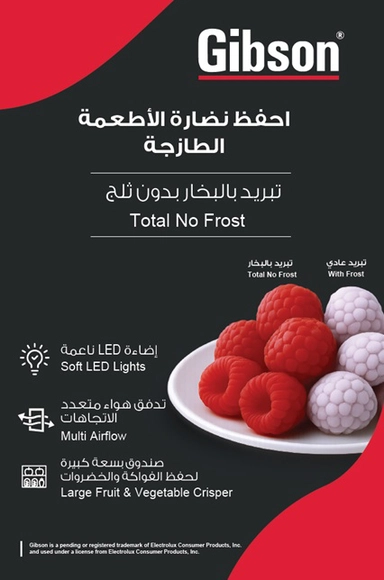 ,فريزر راسي ,جيبسون 20.9 قدم استيل GUF594ODWA