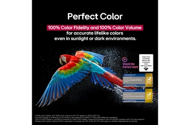 LG AI B5 65 inch 4K UHD 120Hz Smart OLED TV - OLED65B56LA