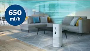 Philips Series 3000 2-in-1 Air Purifier & Humidifier, AC3737/10